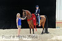 10yn-25934 thumbnail