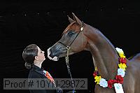 10yn-29872 thumbnail