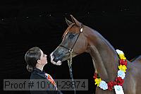 10yn-29874 thumbnail