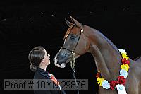 10yn-29875 thumbnail