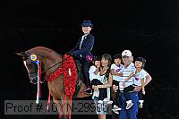 10yn-29906 thumbnail