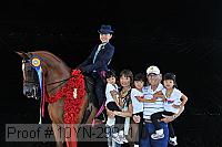 10yn-29911 thumbnail