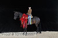 10yn-29997 thumbnail