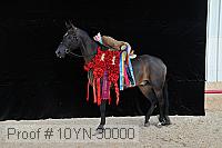 10yn-30000 thumbnail