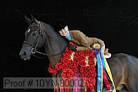 10yn-30002 thumbnail
