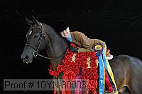 10yn-30003 thumbnail