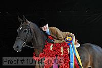 10yn-30004 thumbnail