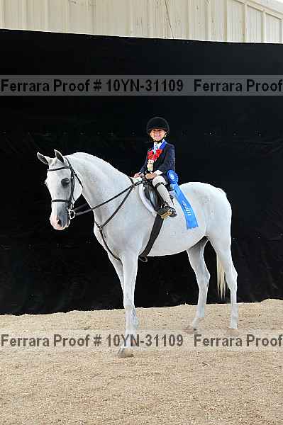 Proof Number 10yn-31109