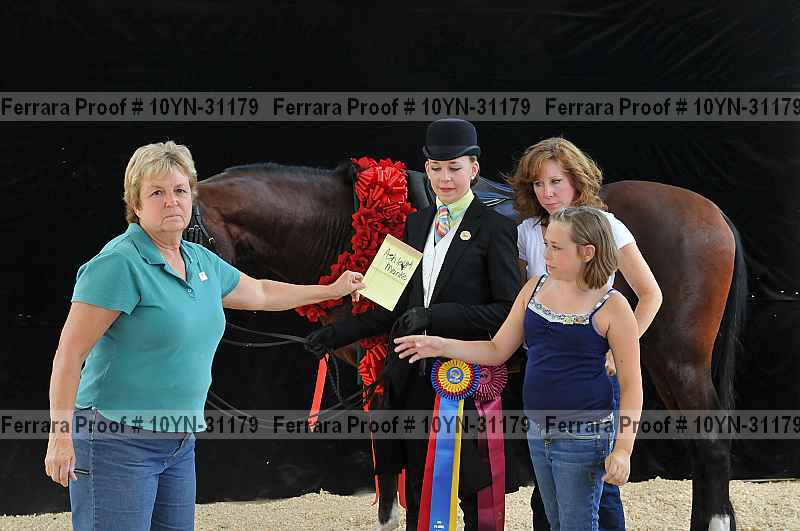 Proof Number 10yn-31179