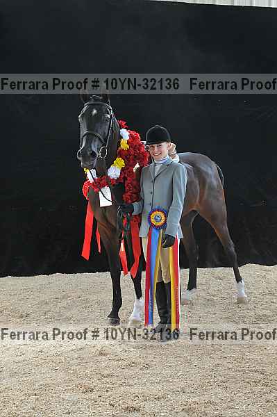 Proof Number 10yn-32136