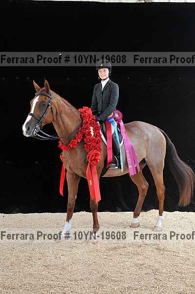 Proof Number 10yn-19608