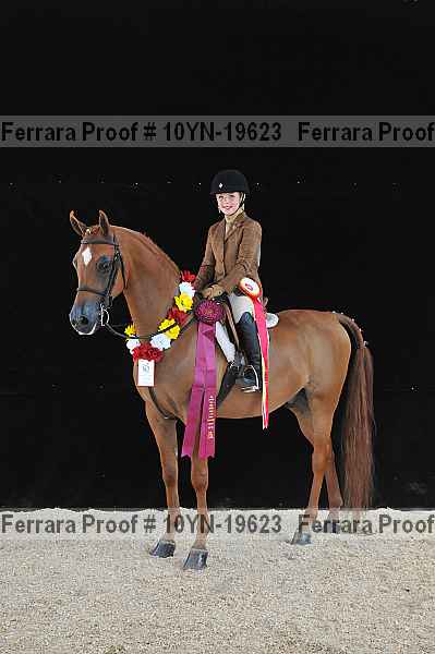 Proof Number 10yn-19623