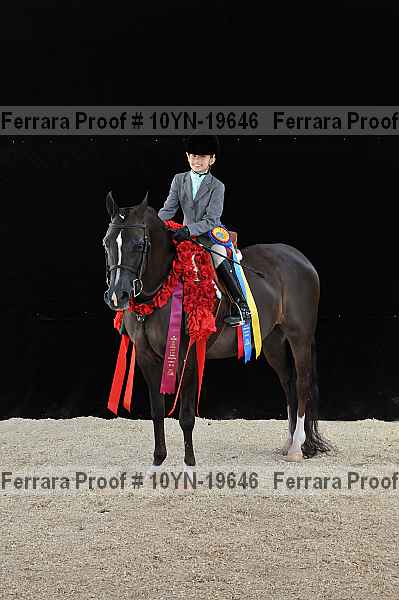 Proof Number 10yn-19646