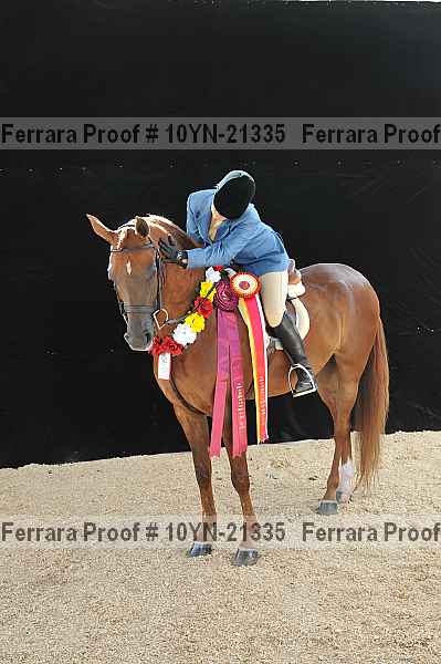 Proof Number 10yn-21335