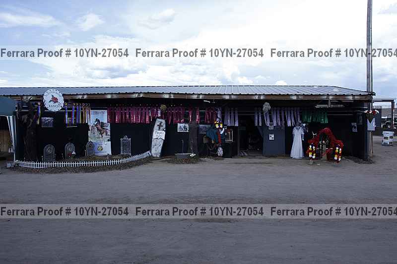 Proof Number 10yn-27054