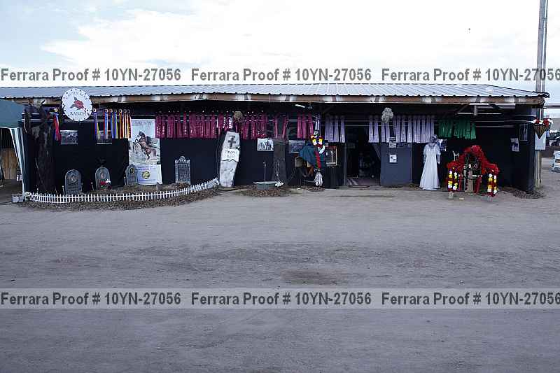 Proof Number 10yn-27056