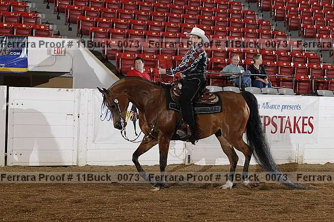 Proof Number 11buck_0073