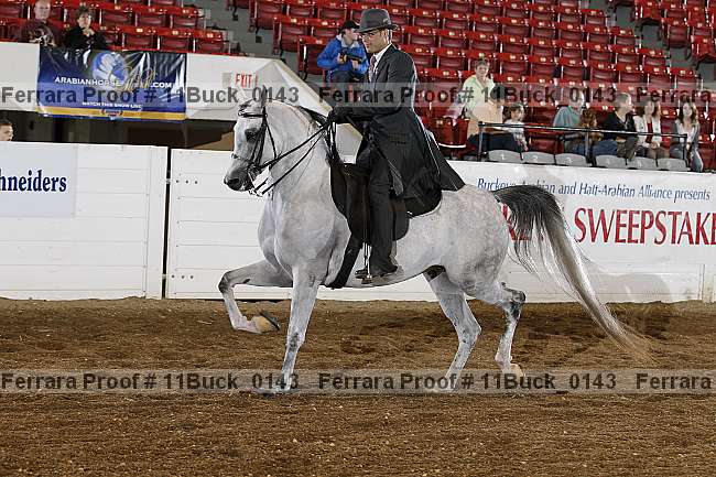 Proof Number 11buck_0143