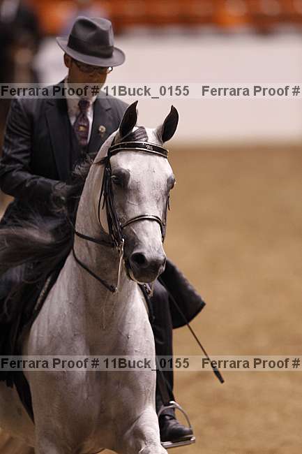 Proof Number 11buck_0155