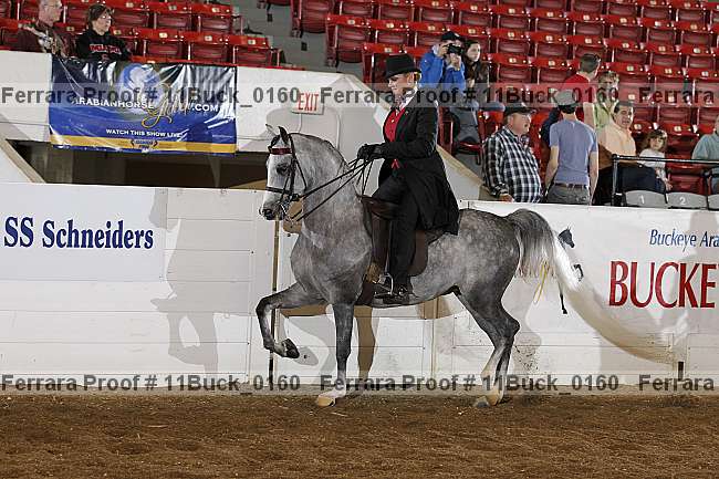 Proof Number 11buck_0160