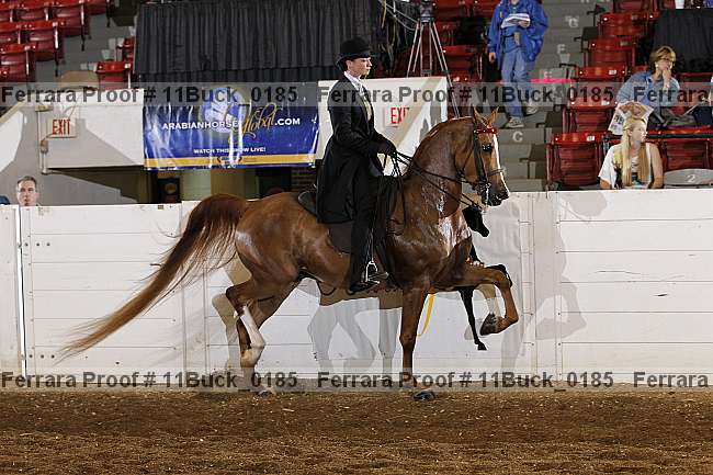 Proof Number 11buck_0185