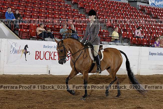 Proof Number 11buck_0203