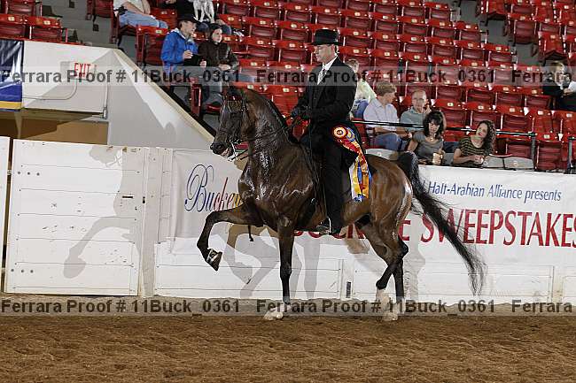 Proof Number 11buck_0361