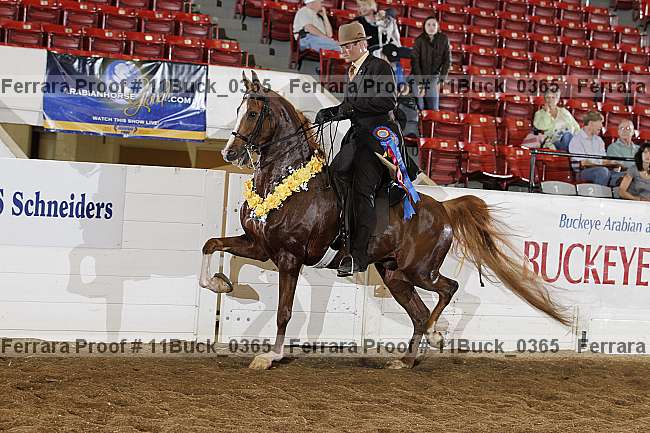 Proof Number 11buck_0365