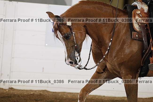 Proof Number 11buck_0386