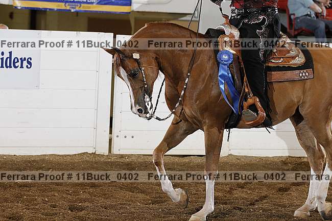 Proof Number 11buck_0402