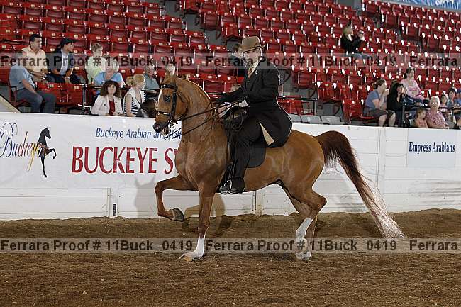 Proof Number 11buck_0419