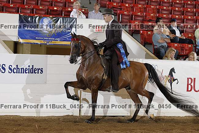 Proof Number 11buck_0456