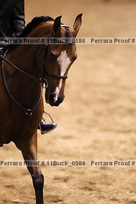 Proof Number 11buck_0584