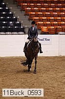 11buck_0593 thumbnail