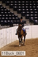11buck_0601 thumbnail