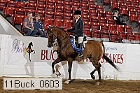 11buck_0603 thumbnail