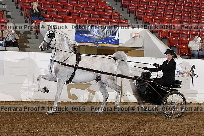 Proof Number 11buck_0665