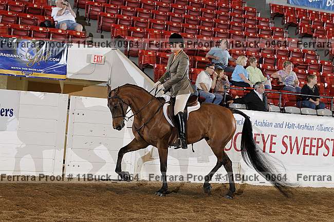 Proof Number 11buck_0964