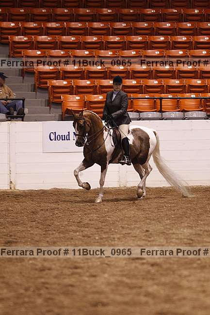 Proof Number 11buck_0965