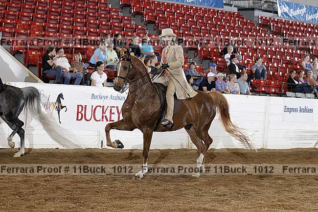 Proof Number 11buck_1012
