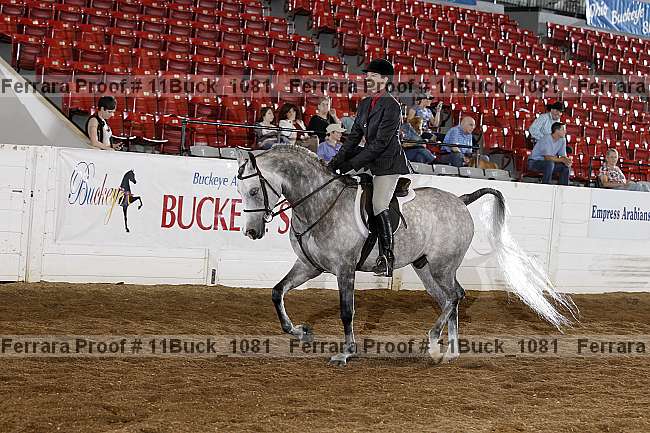 Proof Number 11buck_1081