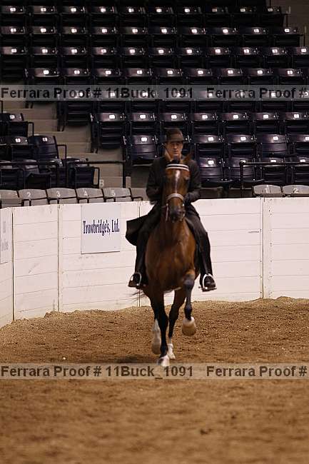 Proof Number 11buck_1091