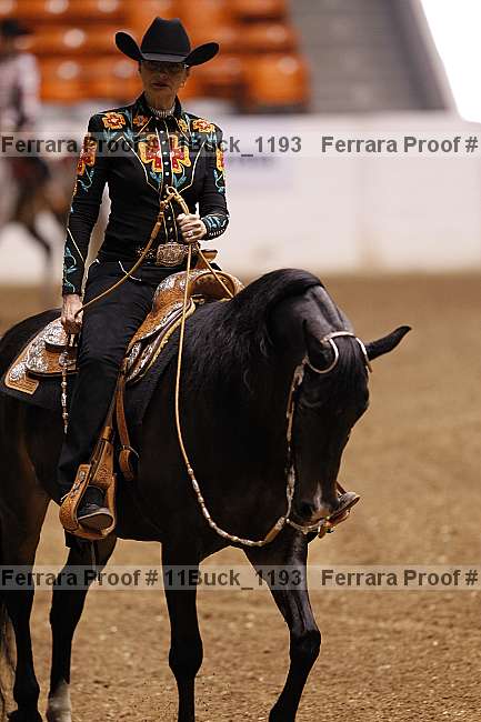 Proof Number 11buck_1193