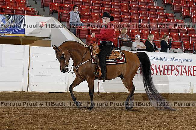 Proof Number 11buck_1202