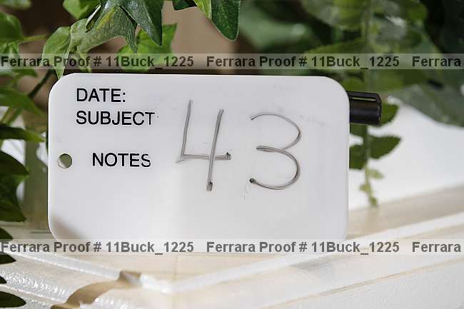 Proof Number 11buck_1225