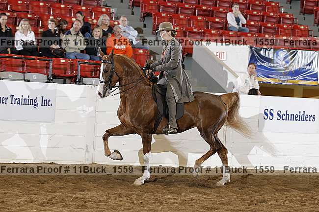 Proof Number 11buck_1559