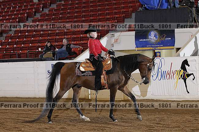 Proof Number 11buck_1801