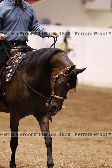 Proof Number 11buck_1870