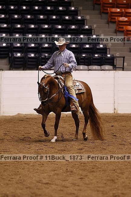 Proof Number 11buck_1873