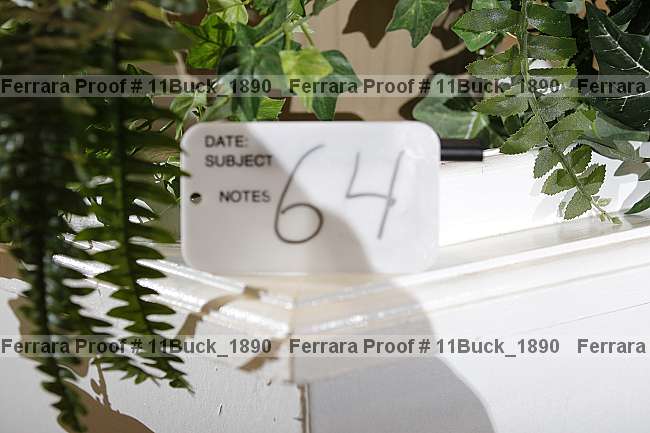 Proof Number 11buck_1890